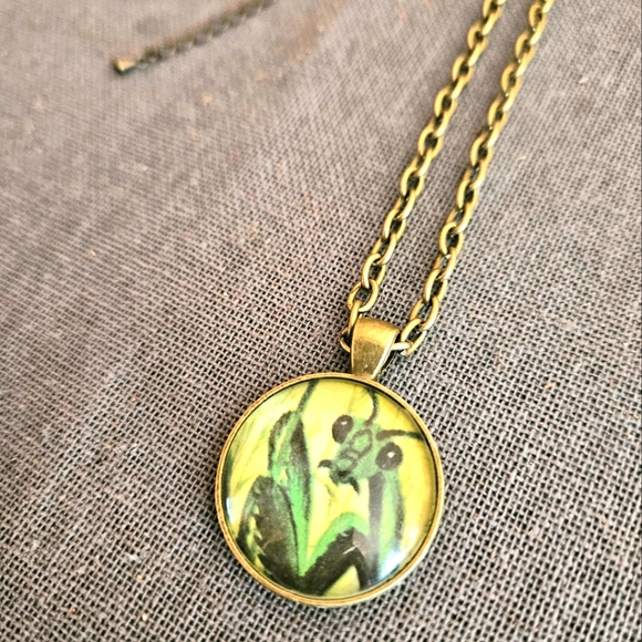 Praying mantis 1970s Richard Scarry book page necklace brass cabochon ooak - Picture 3 of 8